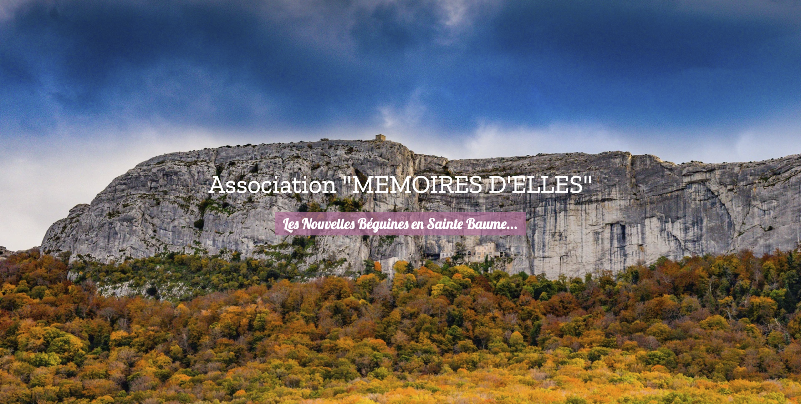 visuel de l'association mémoires d'elles