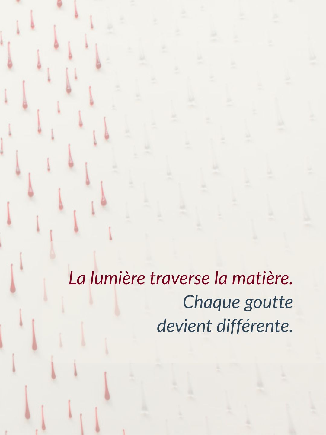 Du sang et des larmes _Helene Mugot_ 2004_ Musée des arts _Toul