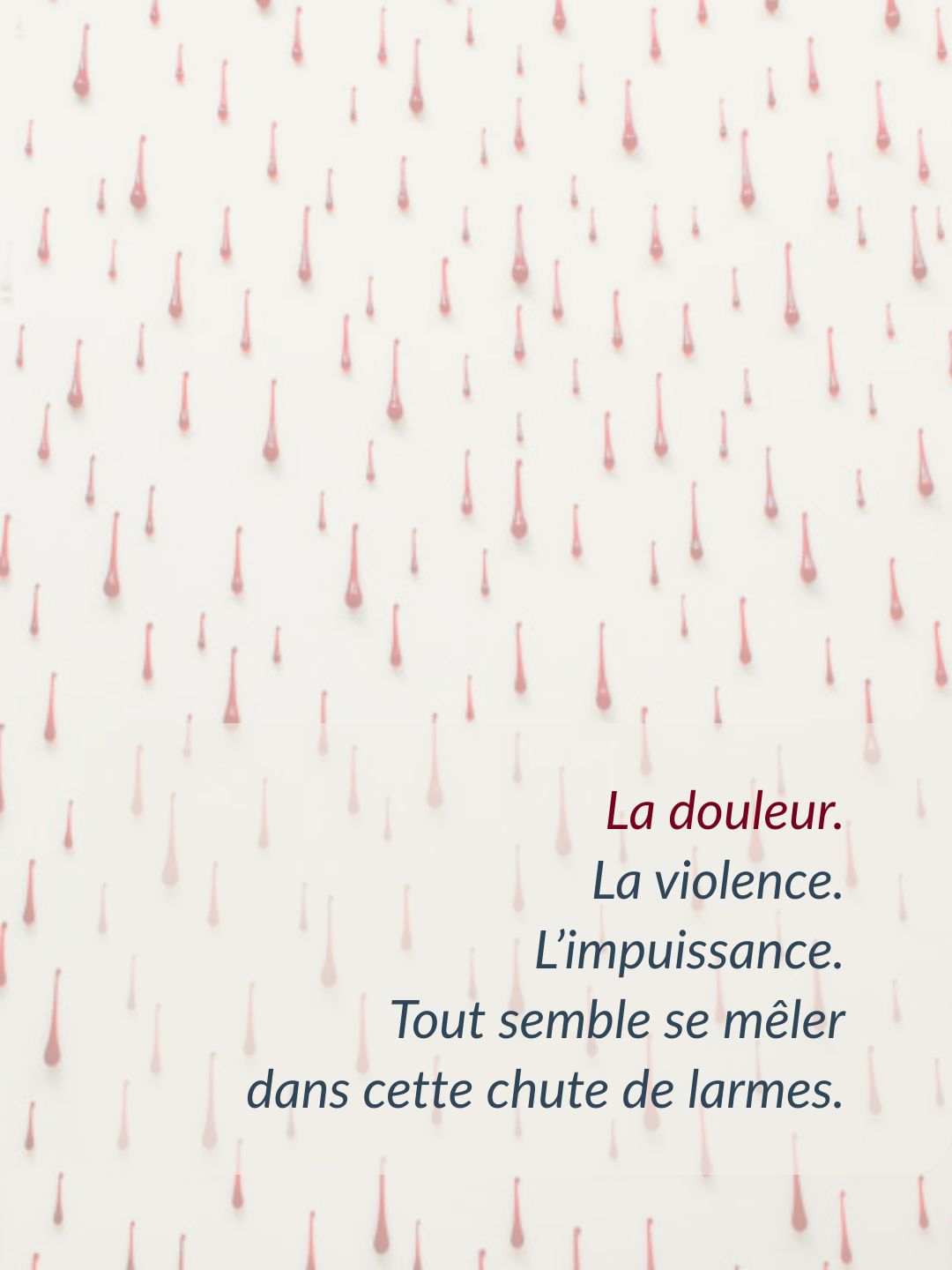 Du sang et des larmes _Helene Mugot_ 2004_ Musée des arts _Toul