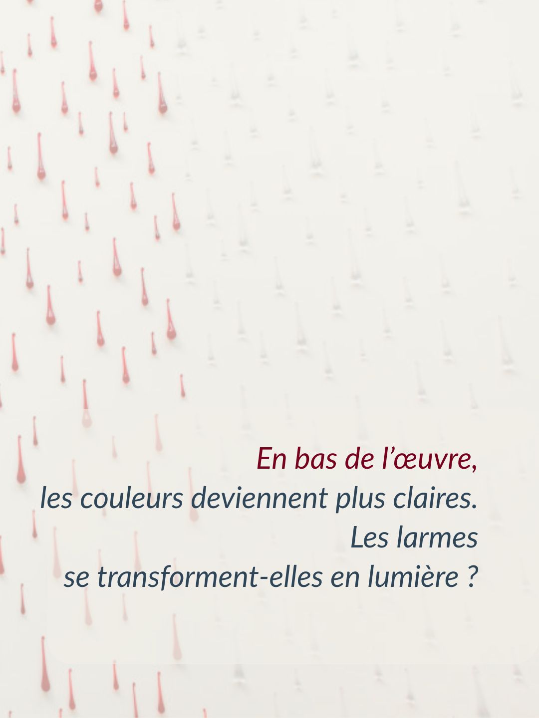 Du sang et des larmes _Helene Mugot_ 2004_ Musée des arts _Toul