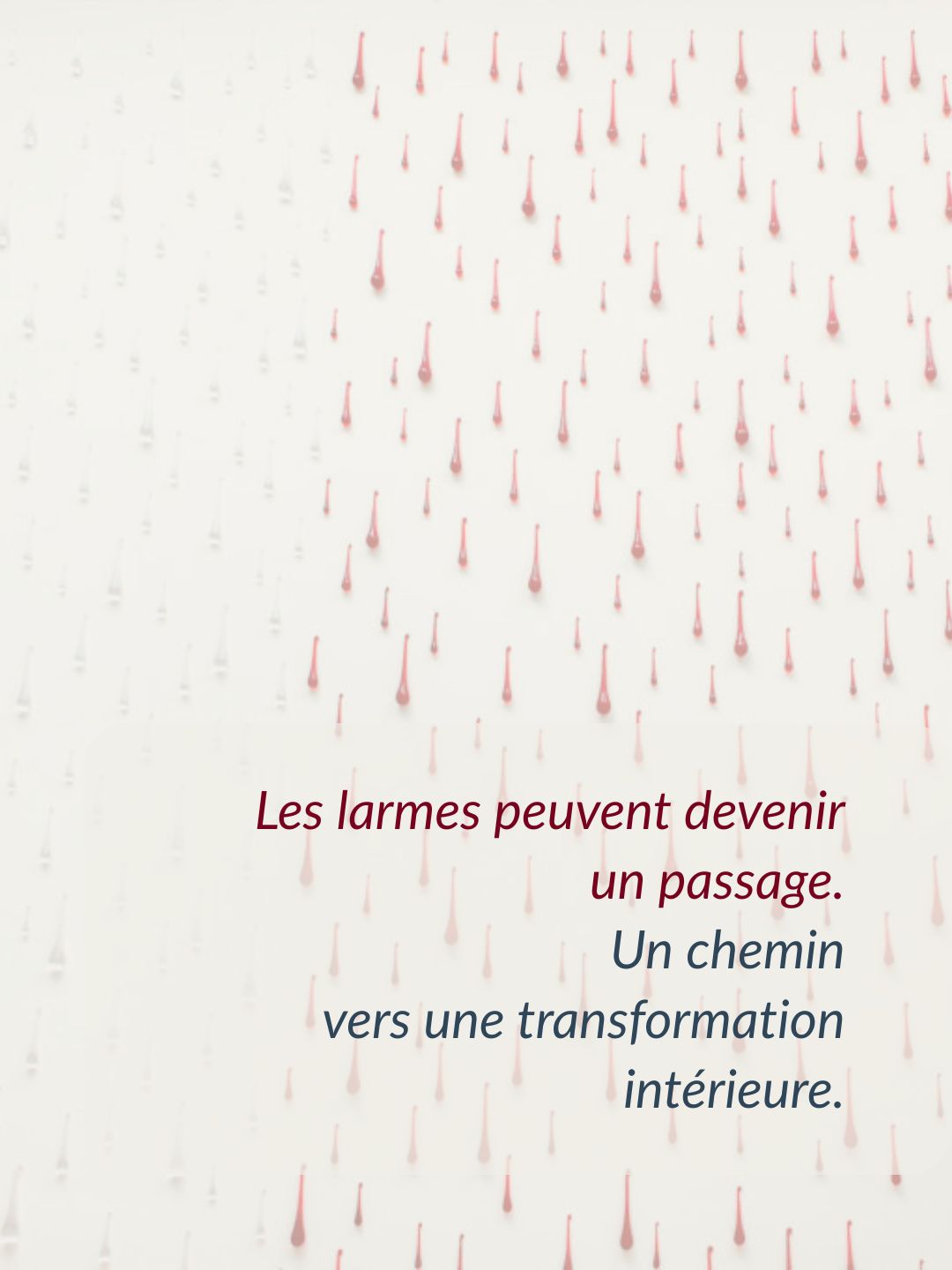Du sang et des larmes _Helene Mugot_ 2004_ Musée des arts _Toul