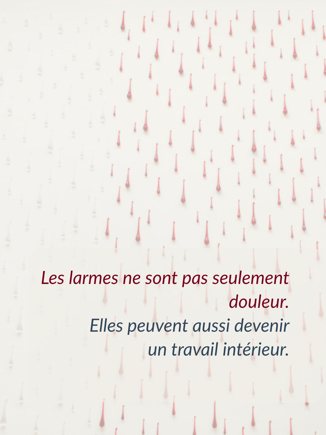 Du sang et des larmes _Helene Mugot_ 2004_ Musée des arts _Toul